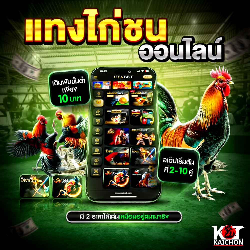 แทงไก่ชน